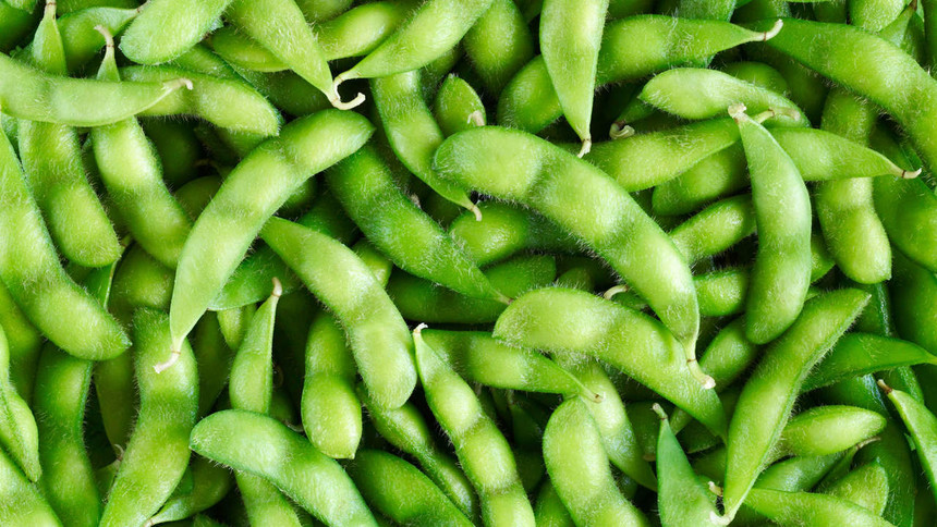 soybeans-fat-raw.jpg