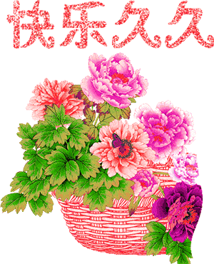 1509151357719088.gif 0 (1).gif