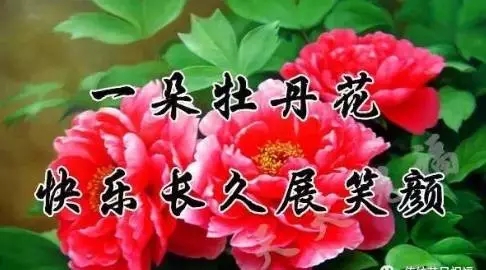 1509153972719952.jpg
