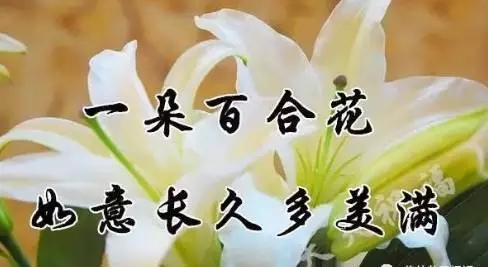 1509153973963427.jpg