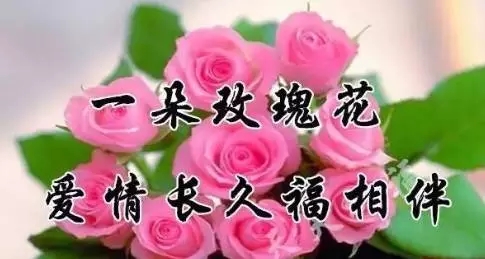 1509153972542596.jpg