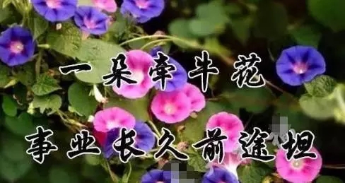1509153975639668.jpg