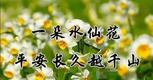 1509153974552007.jpg