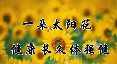 1509153975543048.jpg