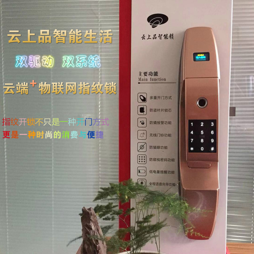 1552467039504905.jpg qqq.jpg