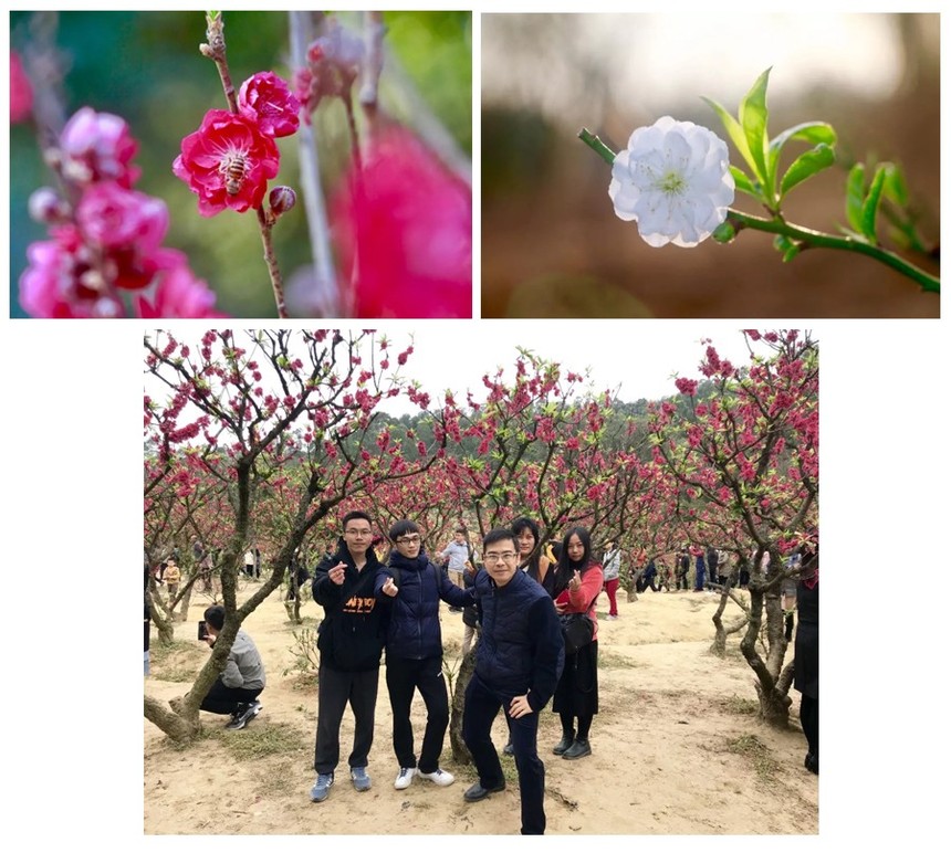 1549967431354307.jpg 9999.jpg