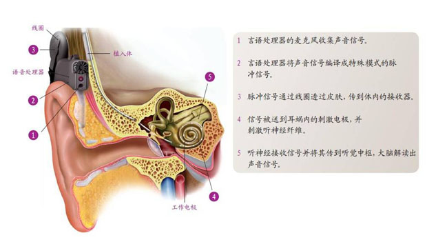 新澳门大门大全