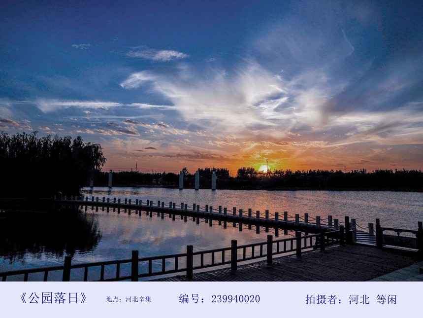 1492428851139689.jpg 辛集.jpg