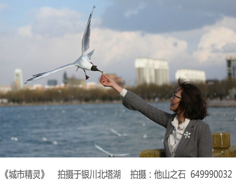 QQͼƬ20170518101201.jpg