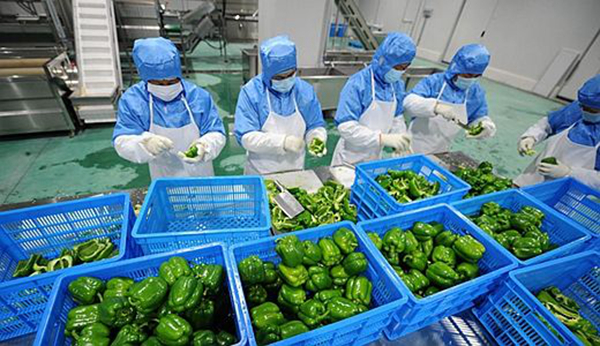 告别地沟油,消除食品安全隐患!这个公司放话:让天下没有难开的餐厅 告别地沟油,消除食品安全隐患!这个公司放话:让天下没有难开的餐厅