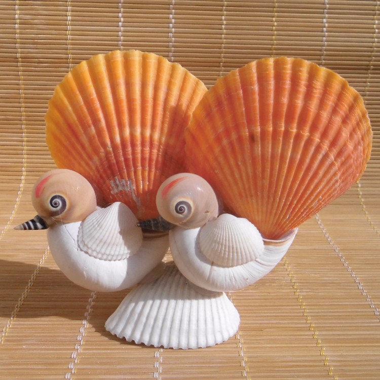 特价海螺贝壳工艺品 小朋友学生新年创意礼物 书桌摆件 海边特色