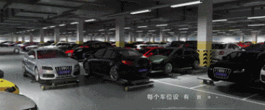 mmexport1535041475890.gif