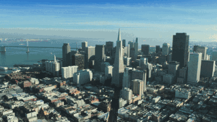 mmexport1535042207529.gif