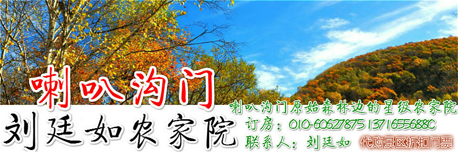 1553861859444009.jpg 1537066035751243_meitu_1.jpg