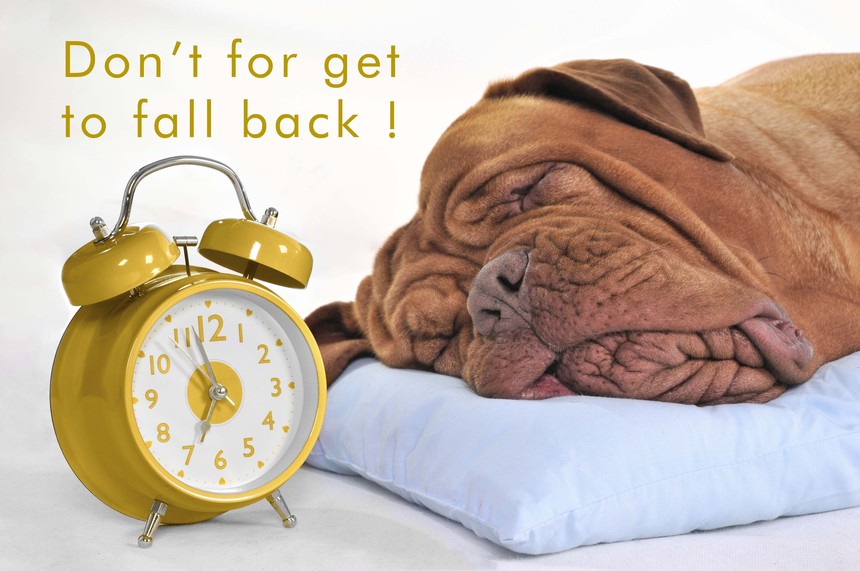 iStock_000015016042_Full.jpg