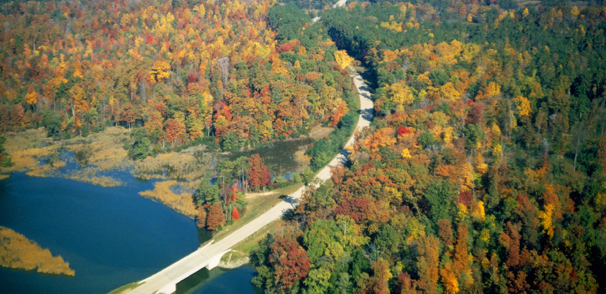 DesktopVirginia1.jpg