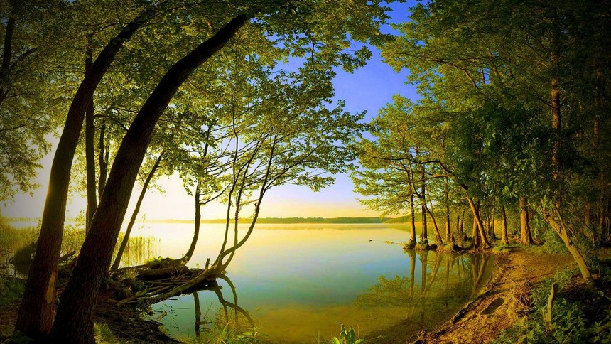 1892-nature-wallpapers-wallpaper.jpg