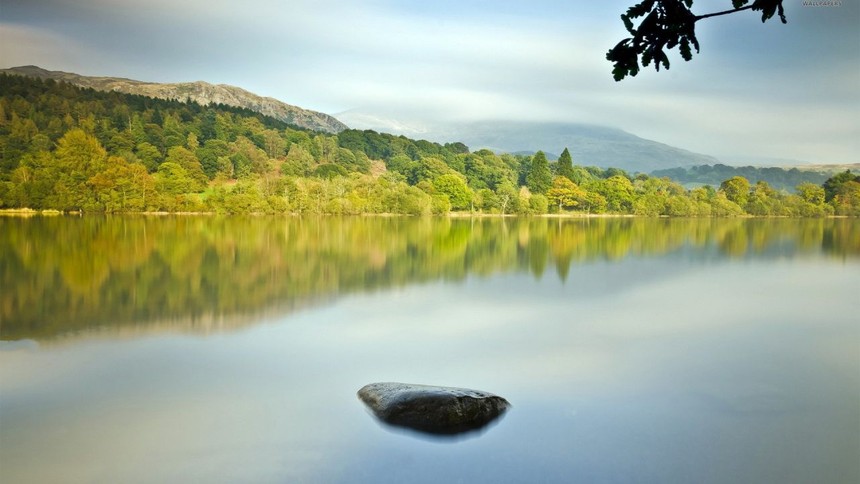 mountain-river-tree.jpg