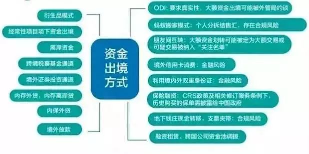WeChat Image_20181210055652.jpg