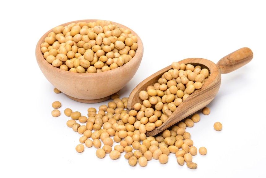 soybean-3.jpg