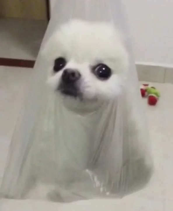 1523223029728637.png blob.png