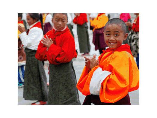 1489481135823512.gif 1489047834246006.gif