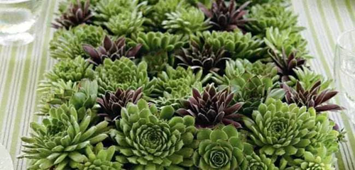 1497238514743330.jpg 微信图片_20170612104306.jpg