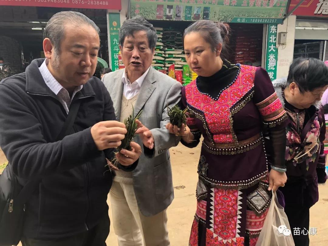 近日,云南省民族民间中医药专家深入苗心康开展"传,帮,带"