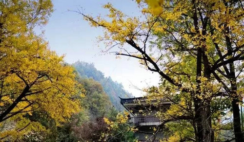 西峡银树沟——八百里伏牛山一幅优美的画卷 门票免费送