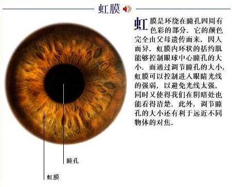 1490324811103939.jpg QQ截图911.jpg