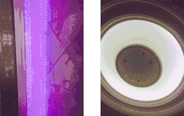 ΢ňDƬ_20180514113841.gif