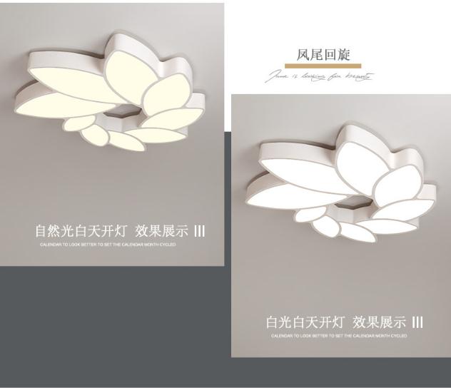 360؈D20190109154048520.jpg