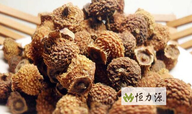 刺梨是平凡的 刺梨花太过于平常