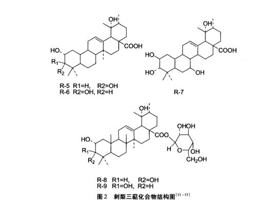刺梨三萜类化合物多为五环三萜类 刺梨是什么果子