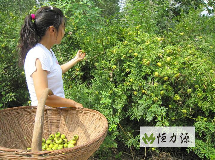 ˮ������ȡ�����ж���