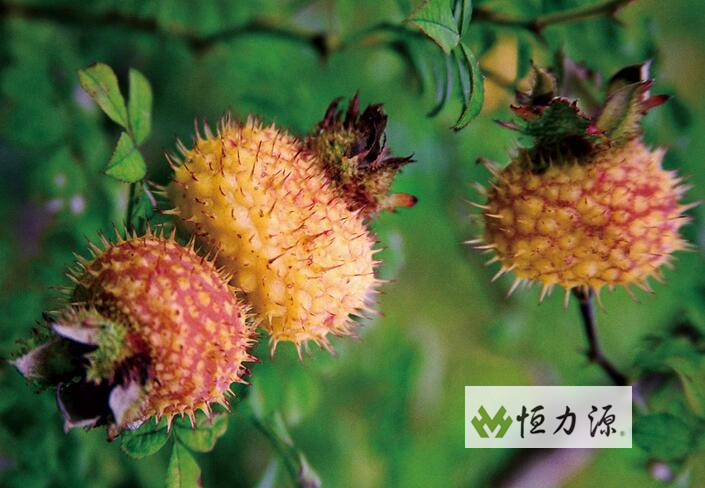 ˮ������ȡ�����ж���