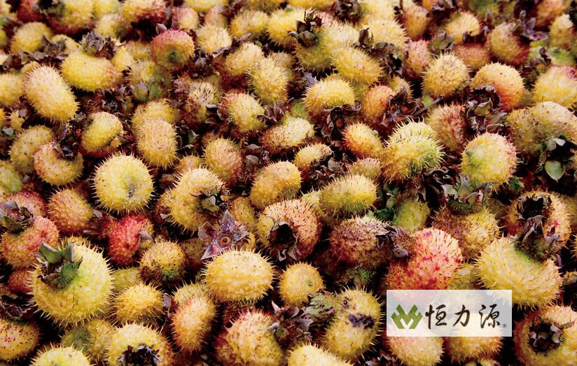 ���� RGA �����ڴ��������ɴش���