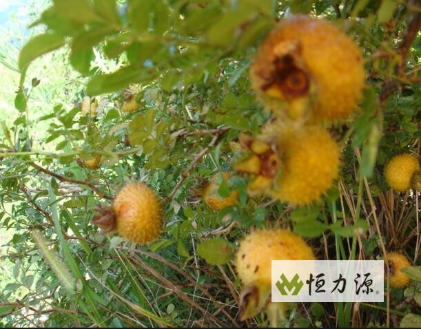 ���� RGA �����ڴ��������ɴش���