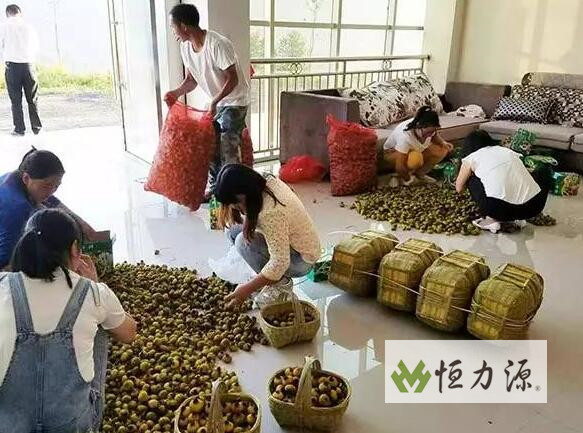 ��ֲ�Ĵ���