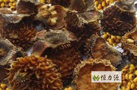 ���������� ����ȫ�ǲ�