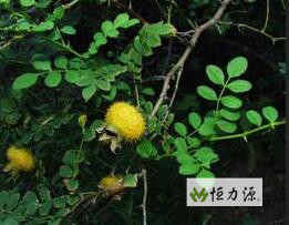 ���������ά����C,�С�άC֮��������