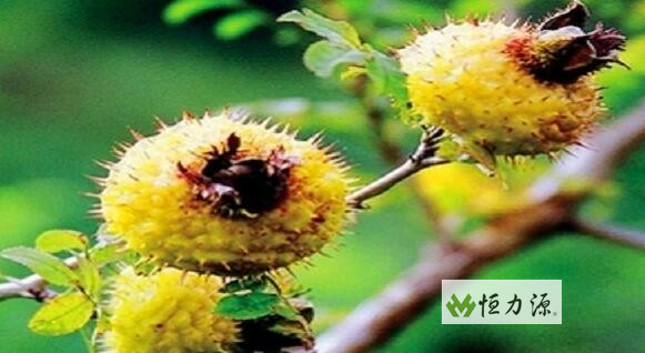 �跨���Լ��Ĵ�����˳���