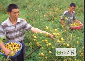 ���������ά����C,�С�άC֮��������