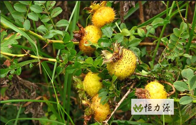 �����ݾƵ�����