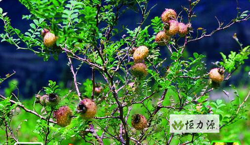 �����ݾƵ�����