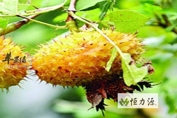 ˮ�������������