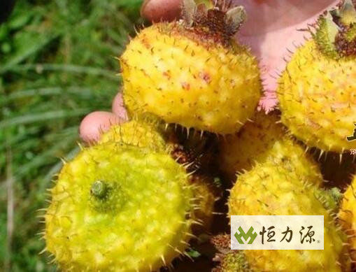 ˮ�������������