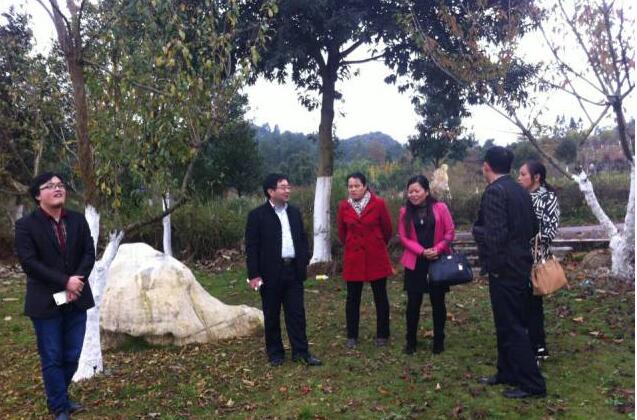 1490344218978585.jpg 贵州刺梨资讯