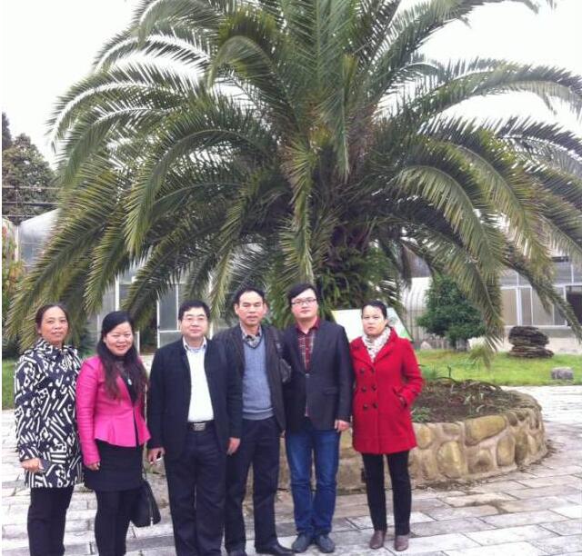 1490344230107454.jpg 贵州刺梨资讯