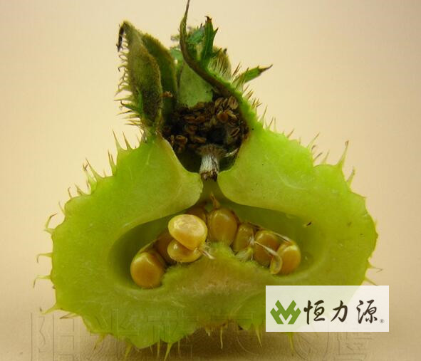 1490345783278670.jpg QQ截图20170321110043.jpg